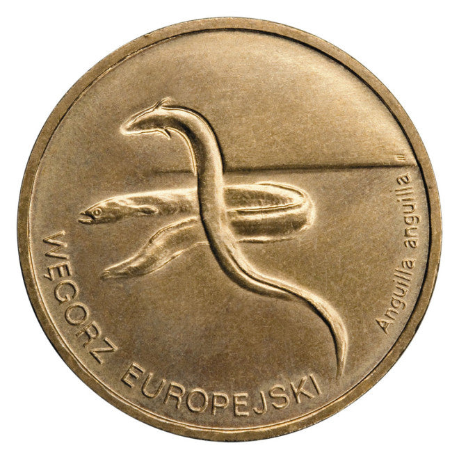 2 zł 2003 -Zwierzęta świata: Węgorz europejski (łac. Anguilla anguilla)