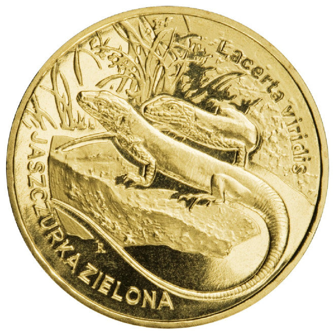 2 zł 2009 - Zwierzęta Świata: Jaszczurka zielona (łac. Lacerta viridis)